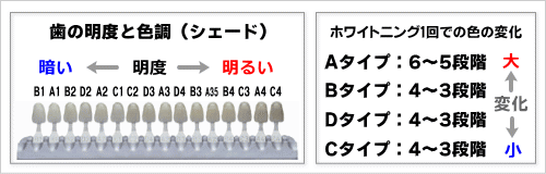 歯の色調とホワイトニング効果